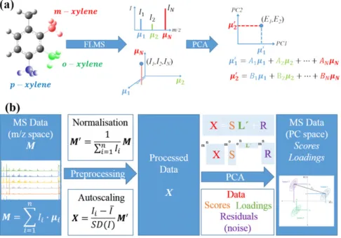 Figure 3. Schematic representation of the data processing and statistical analysis processes