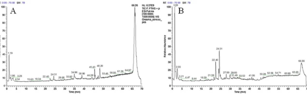 Fig. 2. Total ion chromatogram of the methanolic extract of Onosma stenoloba in the negative (A) and positive ion mode (B).