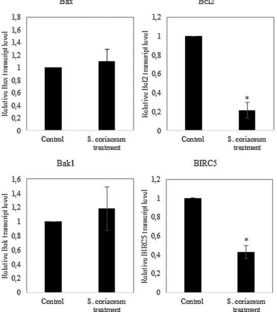 Fig. 3. Gene expression pro ﬁles of apoptotic marker genes. Human breast adenocarcinoma (MDA-MB-231) cells were treated with S