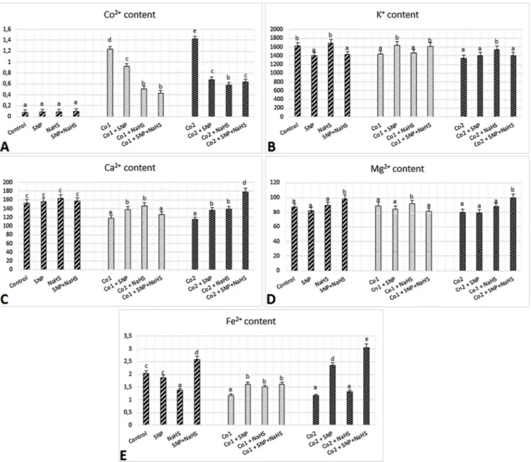 Fig. 3. E ﬀects of exogenous 100 μM SNP and 600 μM NaHS treatment on ion contents (Co 2+ (A), K + (B), Ca 2+ (C), Mg 2+ (D) and Fe 2+ (E) contents ( μmol g −1 DW)) in wheat leaves exposed to 150 μM (Co1) and 300 μM (Co2) Co stress for 72 h.