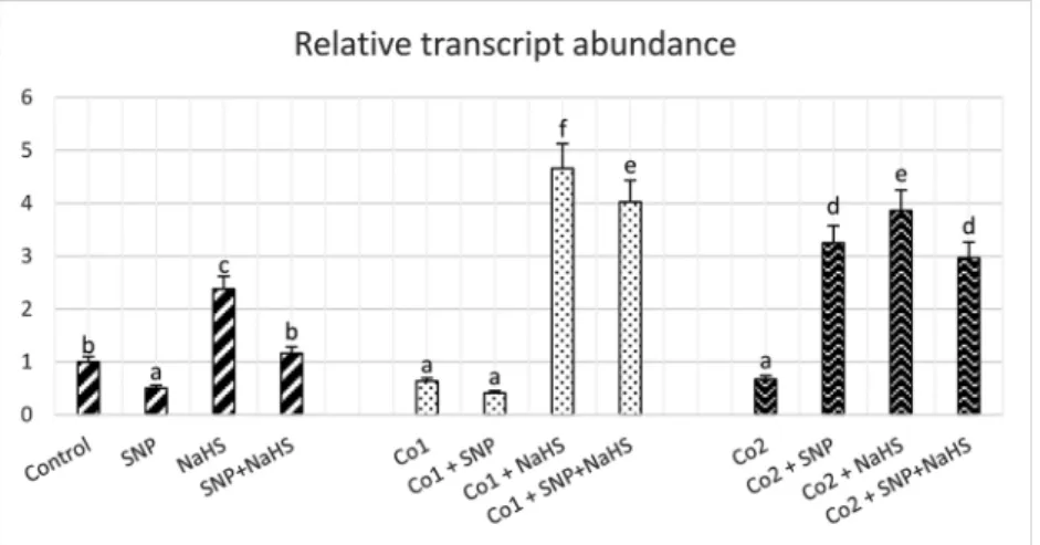 Fig. 6A reveals that depending on Co treatments, a notable increase in H 2 O 2 content was observed