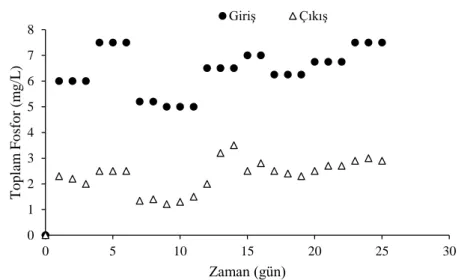 Şekil 4. Toplam fosfor konsantrasyonundaki değişim  Figure 4. Variation of total phosphorus concentration