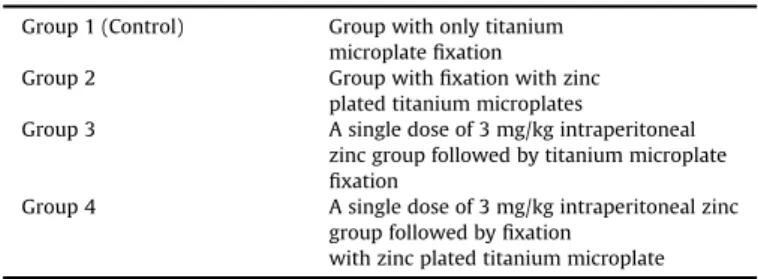 Fig. 1. Zinc-uncoated (top) and zinc-coated (bottom) titanium microplates.