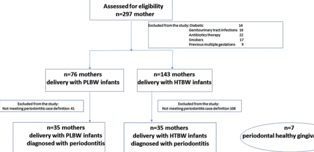 Fig. 1. Flow chart of the inclusion and exclusion of participants.