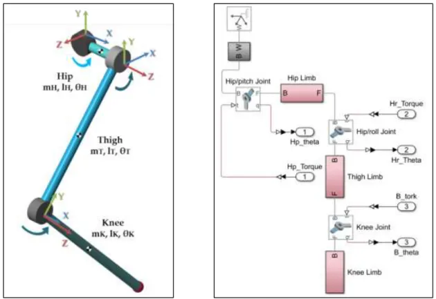 Figure 1. Physical model of the leg  Figure 2. Simscape block diagram of the leg  After the physical model of the leg is created, the linear State-Space model of the system is obtained  in order to make a fast and effective simulation in the studies such a