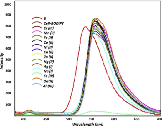 Fig. 3. Fluorescence spectral changes of Cell-BODIPY upon addition of various metal ions (Cr(III), Fe(II), Co (II), Cu (II), Fe(III), Ni (II), Zn (II), Ag (I), Hg(II), Cd (II),  Al (III) and Na(I)) (λex ¼ 350 nm)
