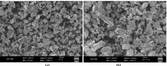 Figure 1. SEM micrographs of pure (a) Ti and (b) Nb powders. 