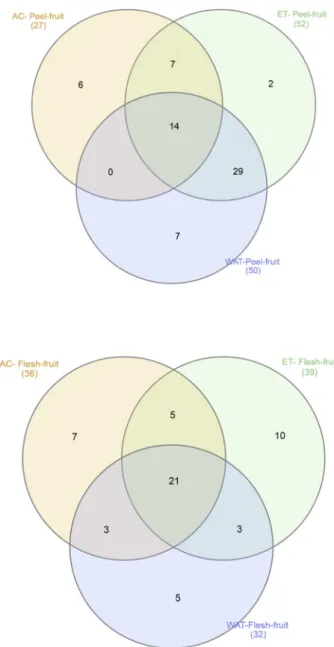 Fig. 1. Venn diagrams based on the identifed compounds numbers in di ﬀerent extracts of peel and ﬂesh of Hottentog-ﬁg (C
