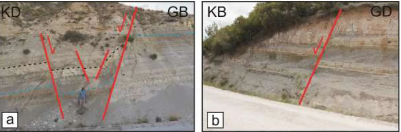 Şekil 7. (a) ve (b) Burdur formasyonu içinde gelişmiş küçük ölçekli normal faylara ilişkin   arazi fotoğrafları