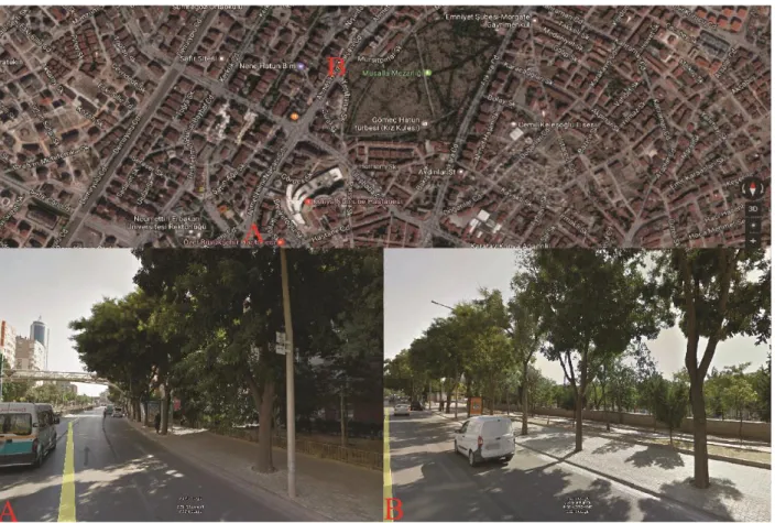 Figure 3 Google view of Nalçacı street  Fraxinus  excelsior  was  heavily  used  and  with  this 