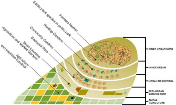Figure 2 An example of edible landscape in the city (Anonymous, 2015b) 