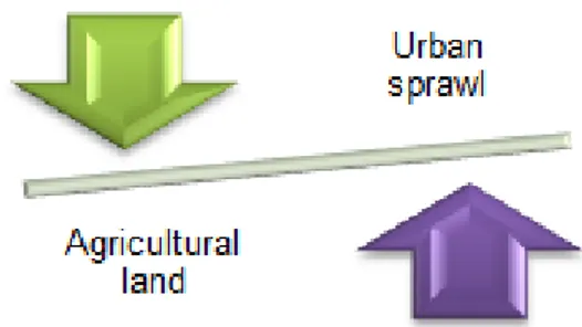 Figure 6 The relationship of urban sprawl and losing  agricultural land 