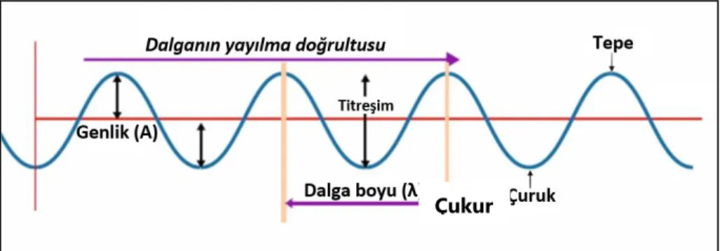 Şekil 1. Sismik dalgaların temel büyüklükleri (Enine Dalgalar için) 