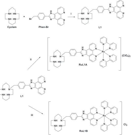 FIGURE 2 Synthesis route of 2‐(4‐((1,4,7,10‐tetraazacyclododecan‐1‐yl)methyl)phenyl)‐1H‐imidazo[4,5‐f][1,10]phenanthroline, L2 macrocyclic ligand and [Ru(bpy) 2 (2‐(4‐((1,4,7,10‐tetraazacyclododecan‐1‐yl)methyl)phenyl)‐1H‐imidazo[4,5‐f][1,10]phenanthroline