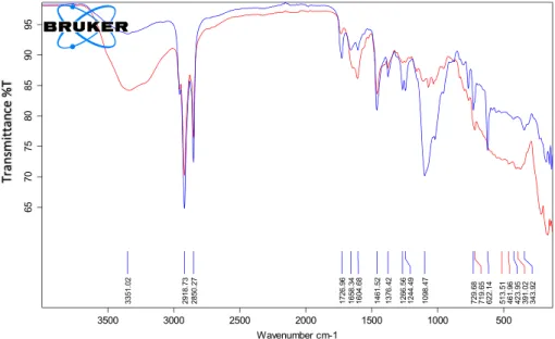 FIGURE 4 FT ‐IR spectrum of [Ru(bpy) 2 ([Ni(2 ‐(4‐((1,4,8,11‐tetraazacyclotetradecan‐1‐yl)methyl)phenyl)‐1H‐imidazo[4,5‐f][1,10]
