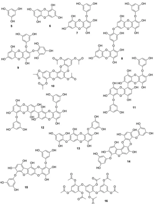 Fig. 2A. Chemical structures of biological active phlorotannins from seaweeds.