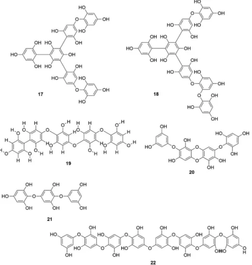 Fig. 2B. Chemical structures of biological active phlorotannins from seaweeds.