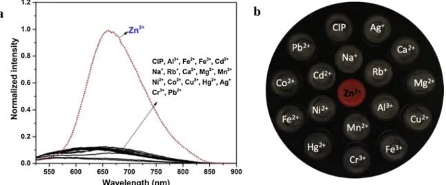 Fig. 3. (a) UV–vis titration spectra of CIP (20 μM) and (b) fluorescence titration spectra of CIP (10 μM) in the presence of Zn 2+ at different concentrations in DMSO/