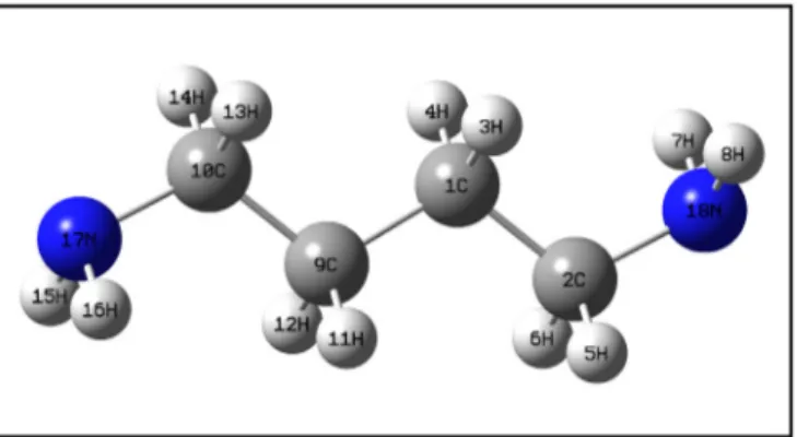 Fig. 1. Atomic numbering and molecular structure of 14DAB.