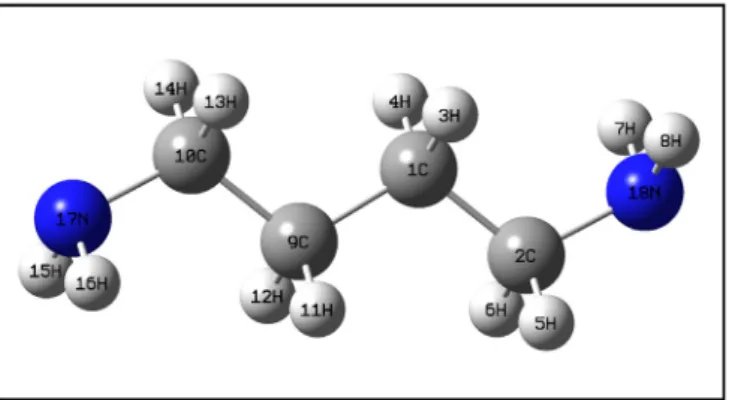 Fig. 1. Atomic numbering and molecular structure of 14DAB.