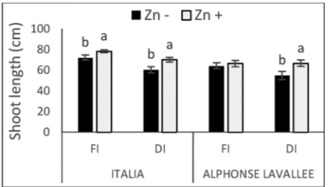 Fig. 5. Leaf chlorophyll content (mg kg −1 ) as a ﬀected by Zn treatment under di ﬀerent irrigation levels (FI: full irrigation, DI: deﬁcit irrigation, Zn+: zinc treatment, Zn-: non-treatment)