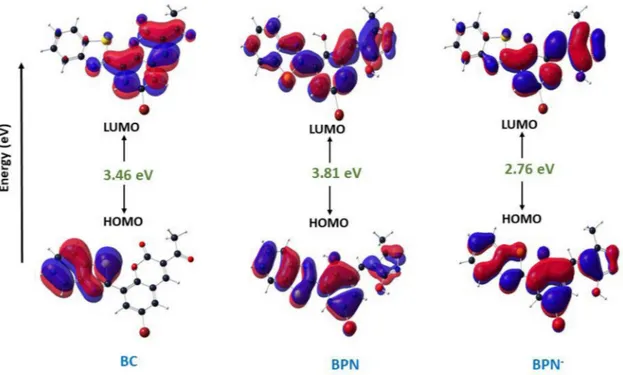 Fig. 7. Photographs of the test kits with BC for detecting hy- hy-drazine in aqueous solution; (a) naked-eye; (b) under 365 nm UV light.