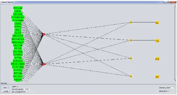 Figure 2. ANNs design created with WEKA program 