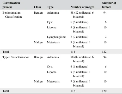 Figure 2 shows sample images of the problems men- men-tioned above that the adrenal tumors in the data set can have similar features such as shape, gray-level, and size