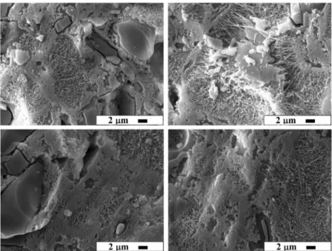 Fig. 8 SEM images for specimens of 0 (a) and  GW-5 (b), sintered at 12GW-50 °C; GW-0 (c) and GW-5 (d), sintered at 1200 °C