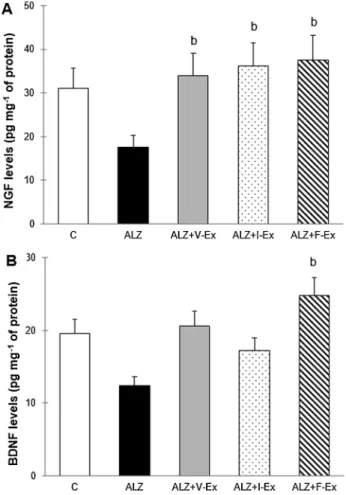 Fig. 7. Nerve growth factor (NGF), and brain-derived neurotrophic factor (BDNF) levels in hippocampal tissue of the rats which were exposed to  D-GAL + AlCl 3 and which were performed different exercise modalities