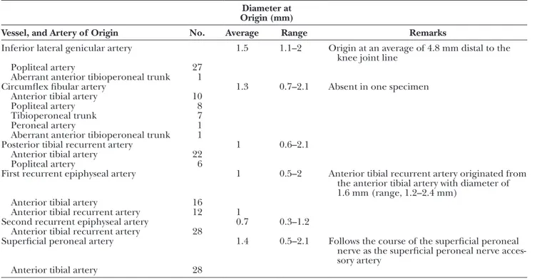 Fig. 2. Origin, course, and branches of the inferior lateral genicular artery to the fibular  head in two left specimens