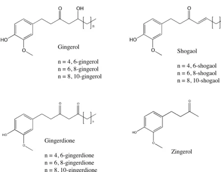Fig. 1. The chemical structures of gingerol, shogal, gingerdione and zingerol.  