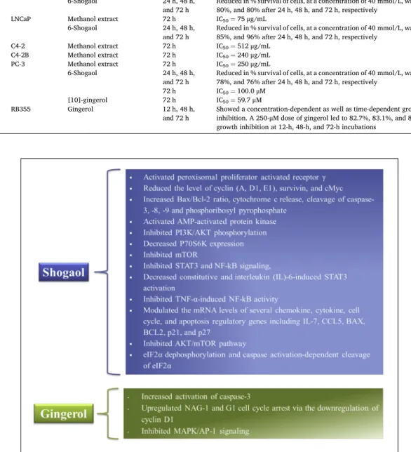 Fig. 2. Cytotoxic mechanisms of action of two studied compounds in Ginger.  