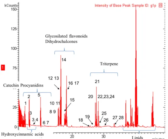 Figure 1. Representative chromatogram of apple peels; the principal classes of phytoconstituents are highlighted; numbers of the identified metabolites are those reported in Table 1.