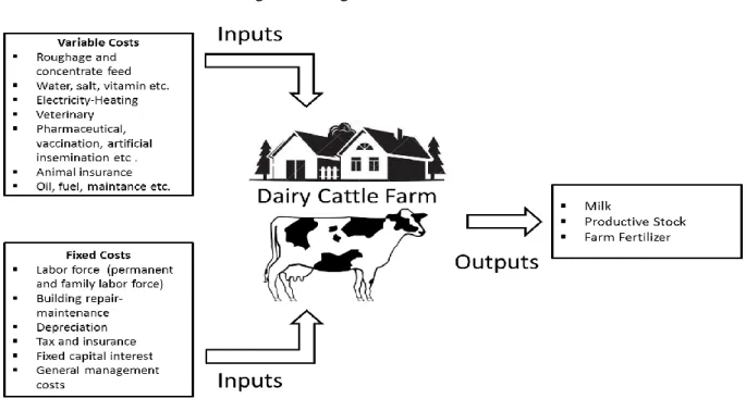 Figure 1: Inputs and outputs scheme of dairy cattle farms (Source: own) 