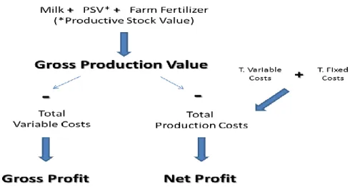 Figure 2: Gross and net profit calculation scheme of dairy cattle farms (Source: own) 