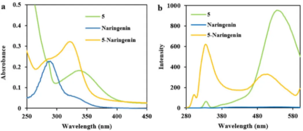 Figure 4. UV –visible spectra (a) and fluorescence response (b) of 5, naringenin and 5-naringenin complex.