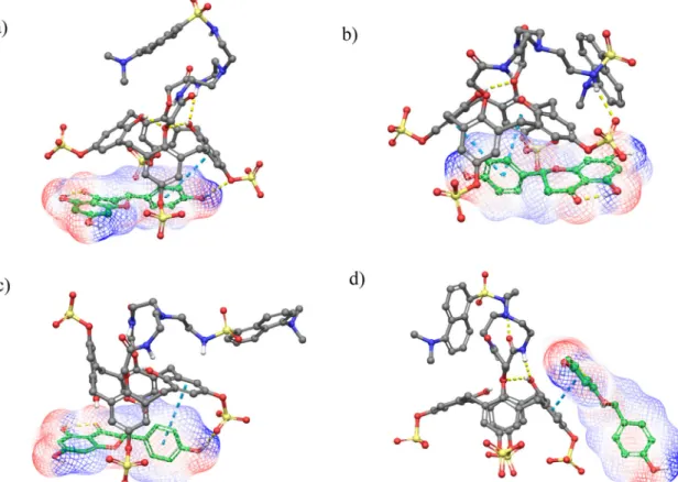 Figure 10. The representative structures obtained after the MD simulations of compound 5/R-naringenin complex