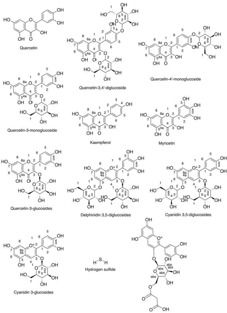 Figure 2. Chemical strucures of major bioactive compounds from Allium cepa.