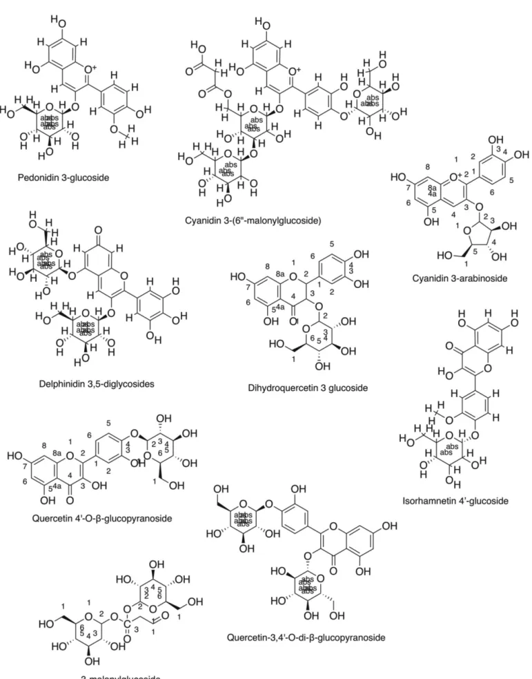 Figure 2. Continued