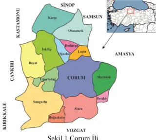 Şekil 1 Çorum İli  Bulgular ve Tartışma 