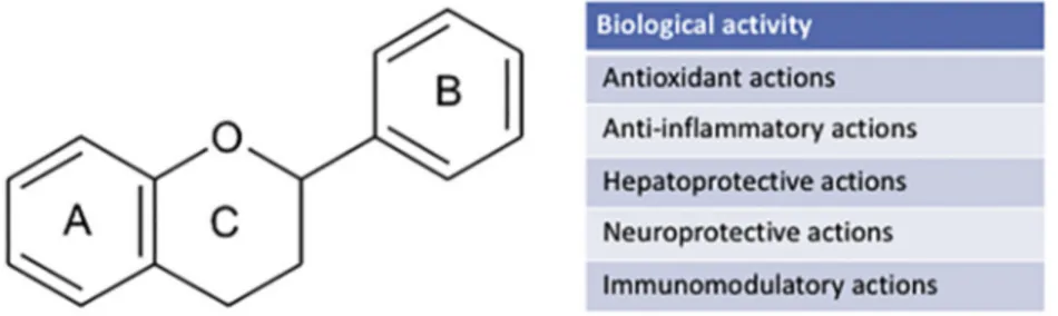 Fig. 1. The chemical structure of ﬂavonoids backbone and general biological actions implicated in their therapeutic capacity against autoimmune diseases.