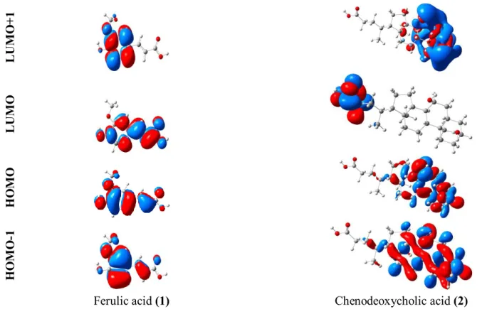 Figure 3: The frontier and second frontier molecular orbitals of Ferulic acid (1) and Chenodeoxycholic acid (2)