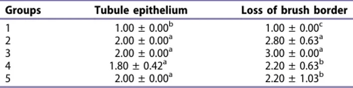 Table 4. Histopathology: cytoplasmic vacuolization and cell necrosis.