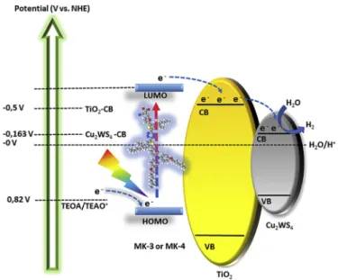 Fig. 3. Photocatalytic hydrogen evolution activities of (b) TiO 2 /MK-3, TiO 2 /MK-3/Cu 2 WS 4 , TiO 2 /MK-3/Pt and (c) TiO 2 /MK-4, TiO 2 /MK-4/Cu 2 WS 4 , TiO 2 /MK-4/Pt (10 mg TiO 2 /dye; 20 ml TEOA (5%), pH = 9).