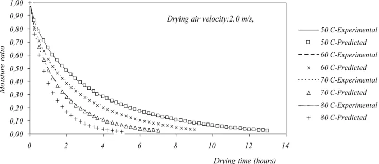Fig. 3 Experimental and predicted moisture ratio during drying process for slice thickness of 15 mm and drying air velocity of 2 m/s