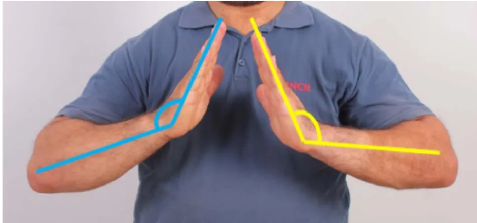 FIGURE 2. Obtaining the ROM value by evaluating the angle between the ulna and the fifth metacarpal bone.