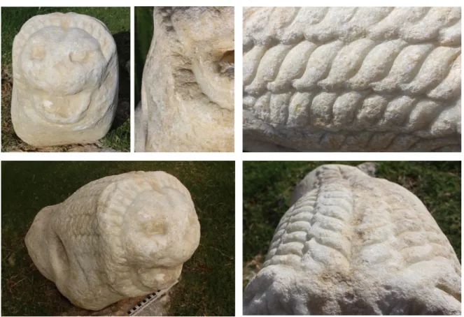 Figür 10: Knidos Yaka Aslanı yele ayrıntıları  