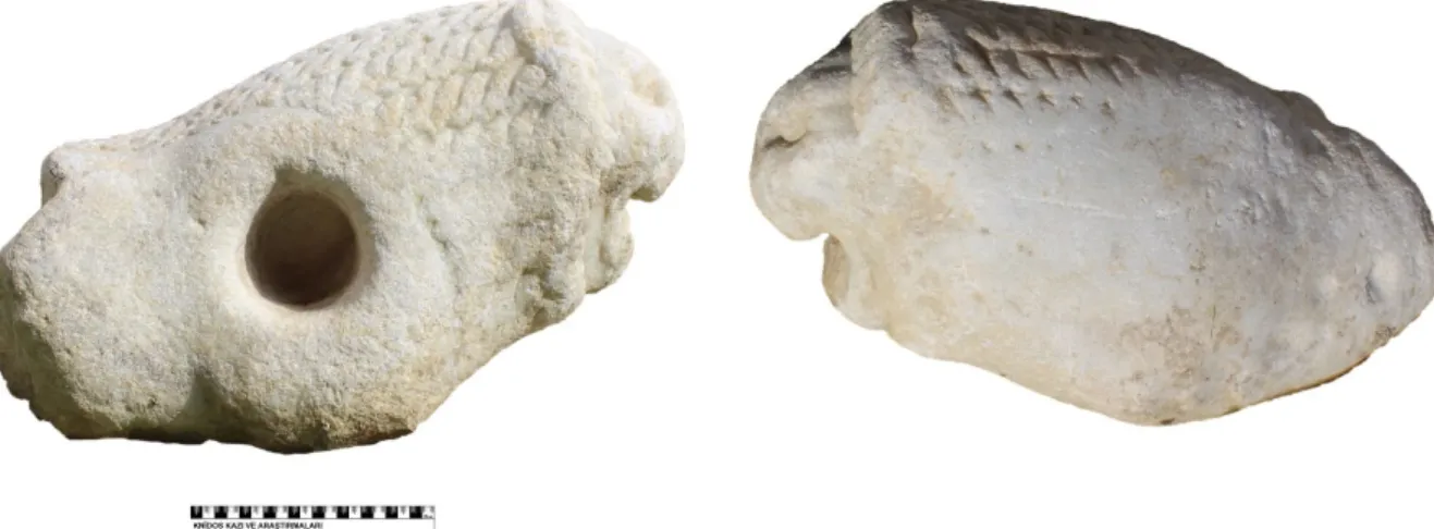 Figür 1: Knidos Yaka Aslanı (sağ)  Figür 2: Knidos Yaka Aslanı (sol) 