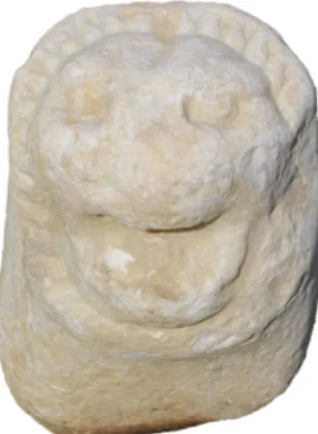 Figür 4: Knidos Yaka Aslanı (arka) Figür 5: Knidos Yaka Aslanı (üst) 